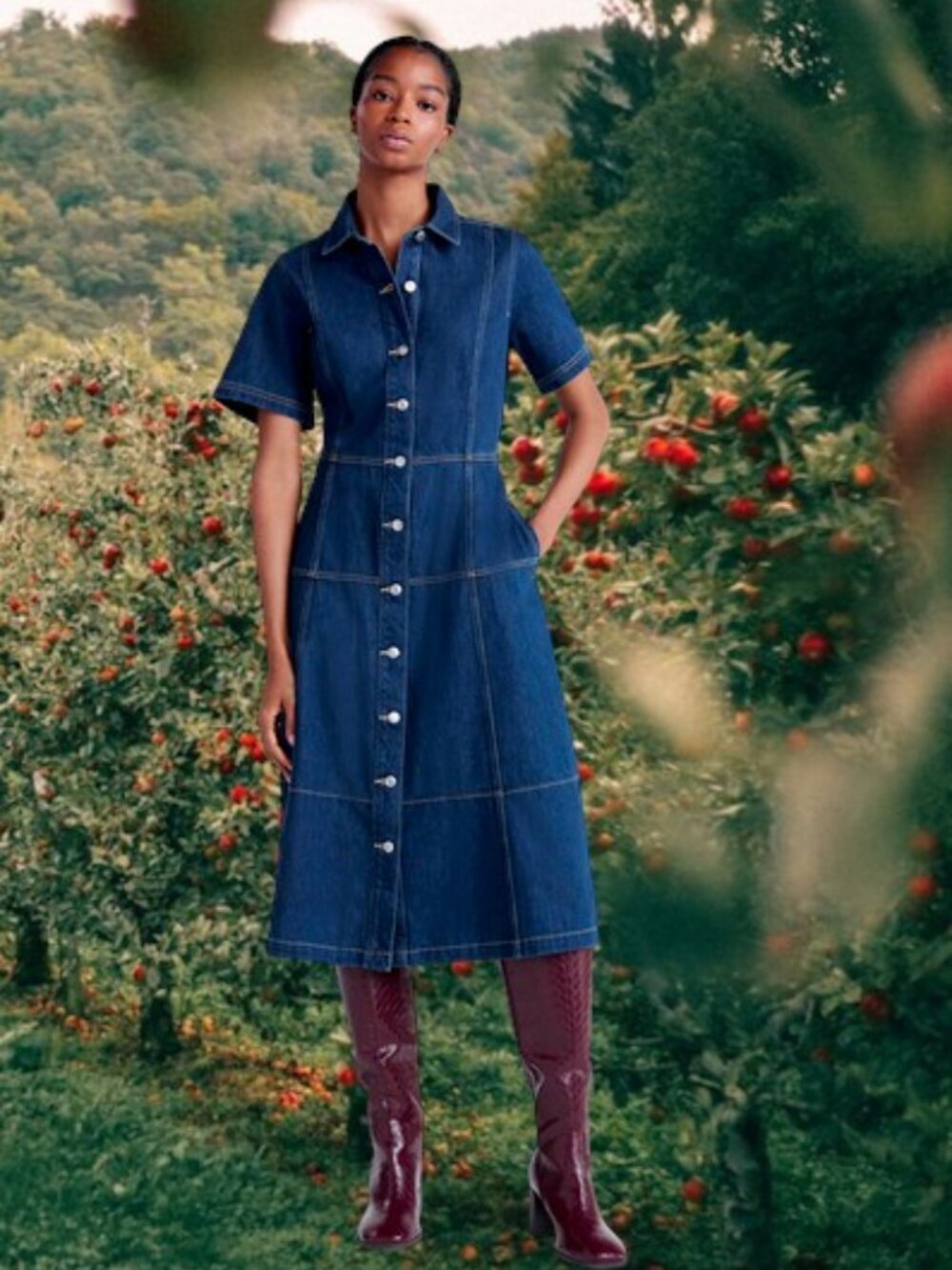 🆕️Cotton Denim Dress NWOT